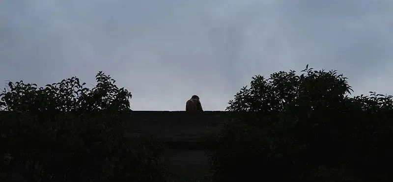 640